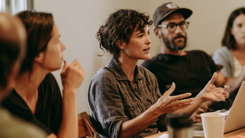 Reward Contribution, Protect Disagreement: The DEO Incentive Test